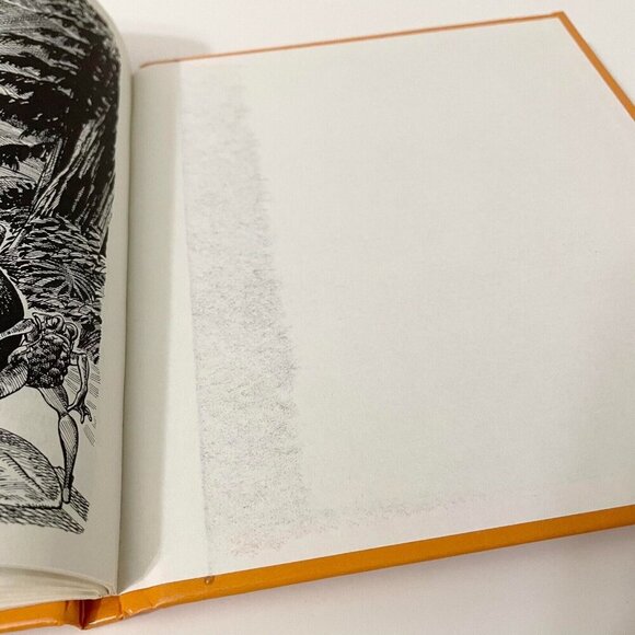 Vtg 1981 The Birch Bark Caper Book by Stanley Burke Roy Peterson - Picture 16 of 16